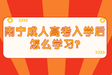 南宁成考网 南宁成考答疑