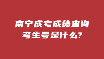 南宁成考成绩查询考生号是什么?