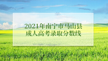 2021年南宁市马山县成人高考录取分数线
