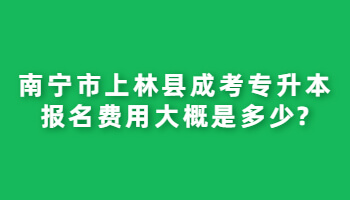 南宁市上林县成考专升本报名费用大概是多少?