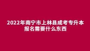 2022年南宁市上林县成考专升本报名需要什么东西