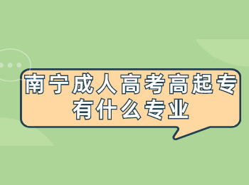 南宁成人高考高起专有什么专业