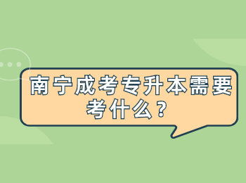 南宁成考专升本需要考什么？