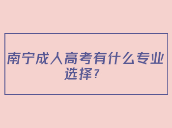 南宁成人高考有什么专业选择？