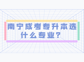 南宁成考专升本选什么专业？