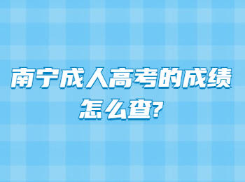 南宁成人高考的成绩怎么查?