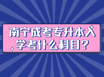 南宁成考专升本入学考什么科目?