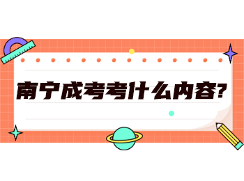 南宁成考考什么内容?