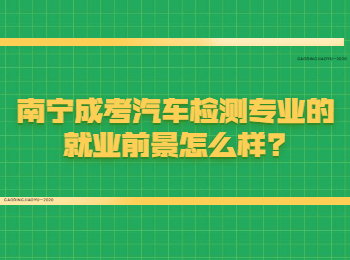 南宁成考汽车检测专业的就业前景怎么样?