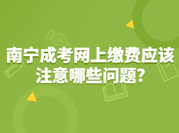 南宁成考网上缴费应该注意哪些问题?