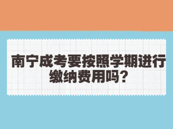 南宁成考要按照学期进行缴纳费用吗?