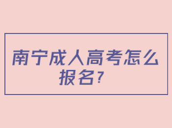 南宁成人高考怎么报名？